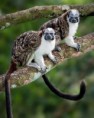 /album/fotogaleria-panama/panama-36-jpg1/